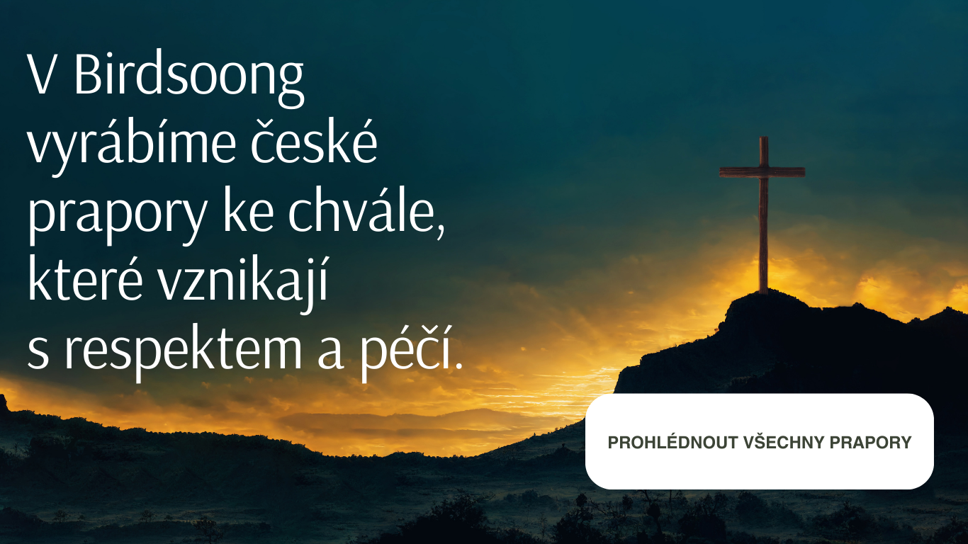 Travel Website in Blue White Green Photocentric Travel Style